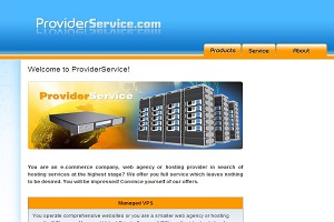 ProviderService