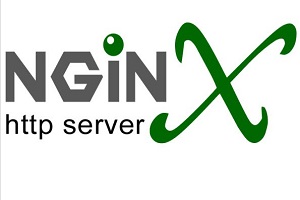 nginx